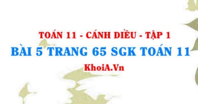 Bài 5 trang 65 SGK Toán 11 tập 1 Cánh Diều